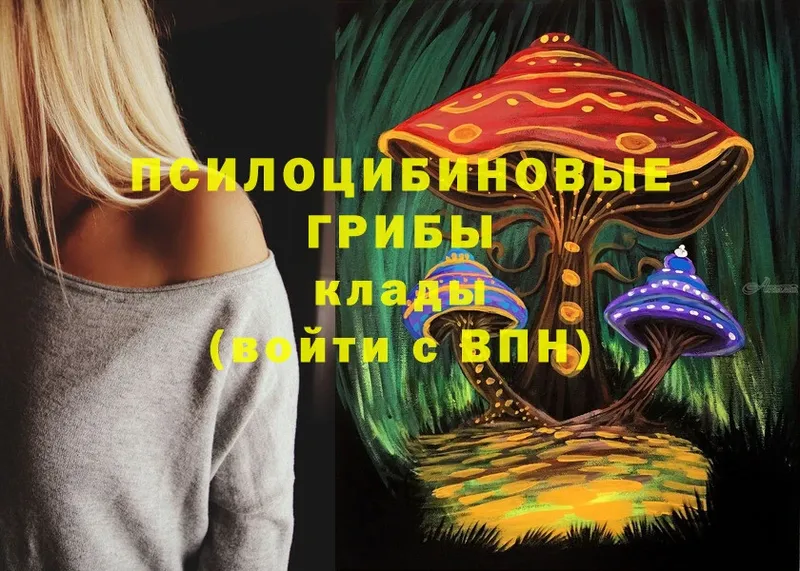 купить закладку  Старая Русса  Галлюциногенные грибы Magic Shrooms 